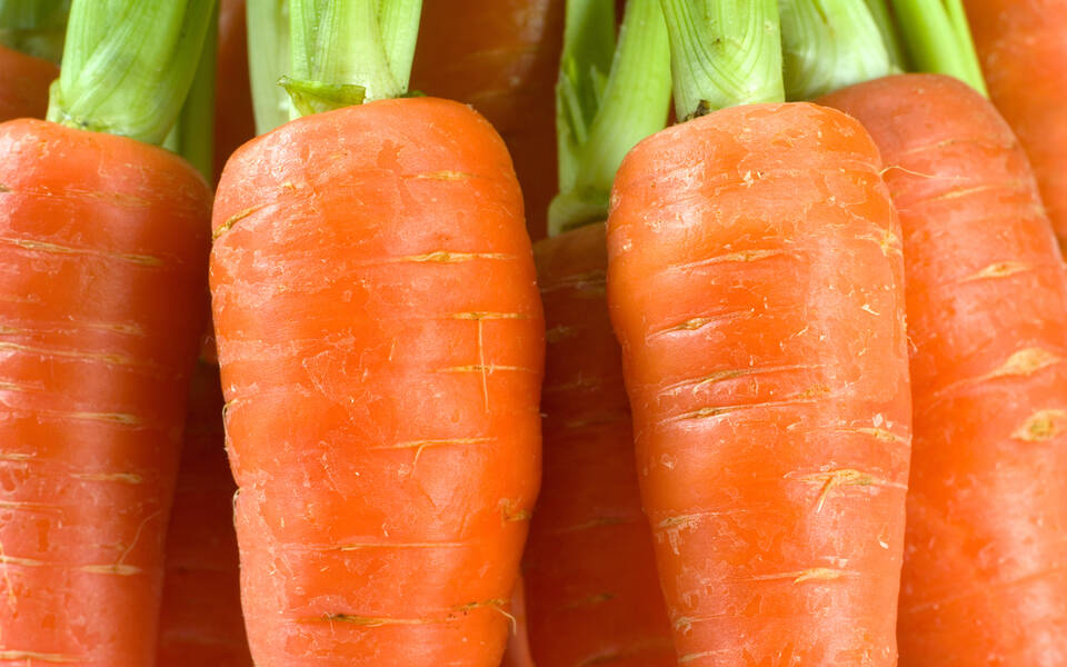 Carrots