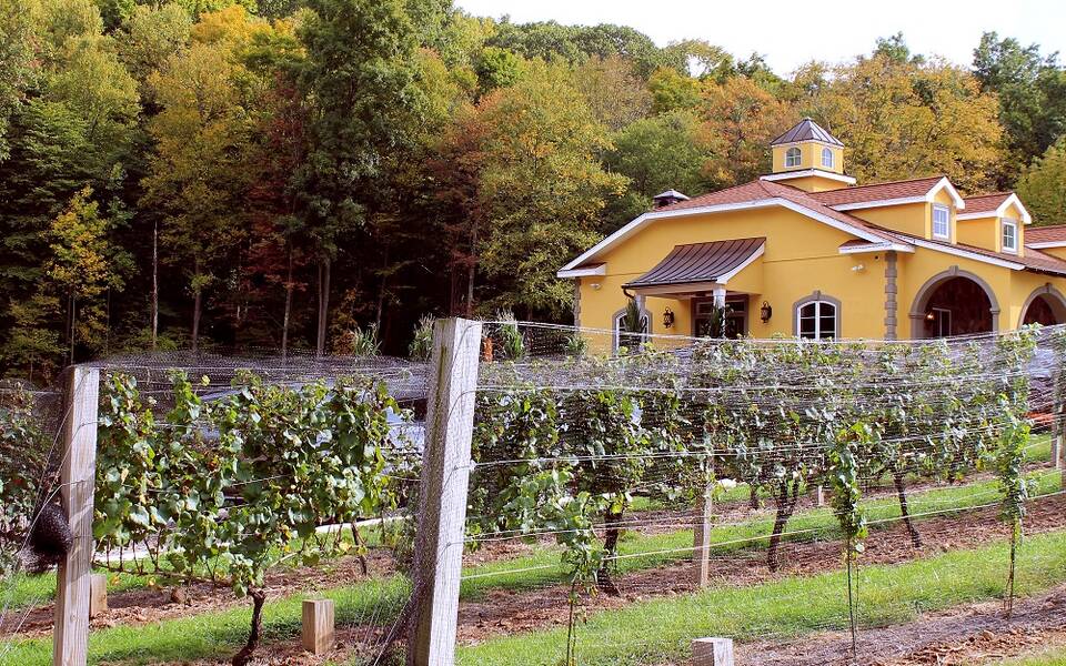 Paradise Hills Vineyard & Winery